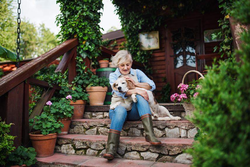 Front view of senior person with a dog sitting on the front steps of a house resting. 