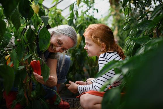 Grandmother and granddaughter in the garden